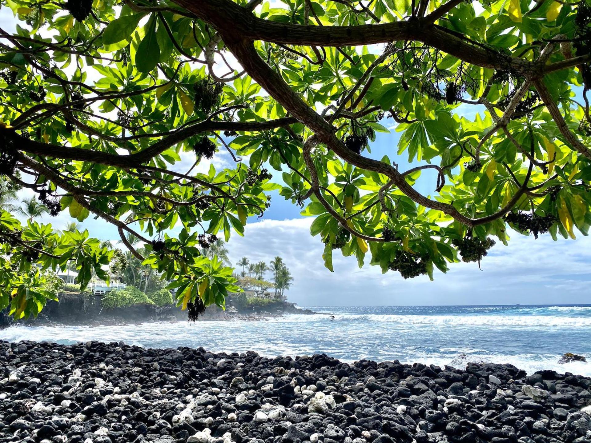Ocean Breeze Kona Home カイルア・コナ エクステリア 写真